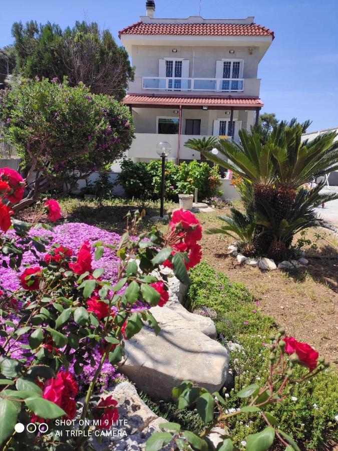 Seagull Apartments - Front And Sea View & Airport Bari Exterior foto